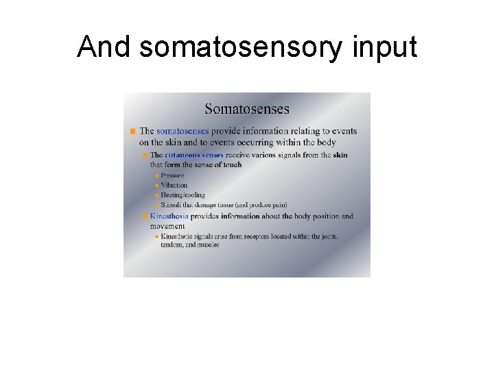 And somatosensory input 