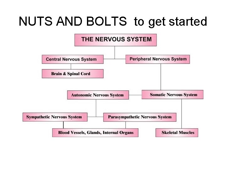 NUTS AND BOLTS to get started 