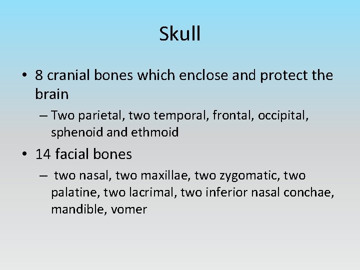 Skull • 8 cranial bones which enclose and protect the brain – Two parietal,