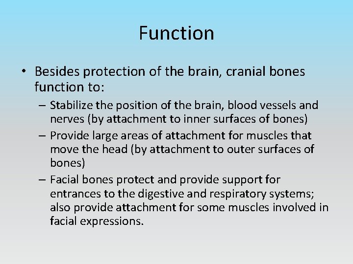 Function • Besides protection of the brain, cranial bones function to: – Stabilize the