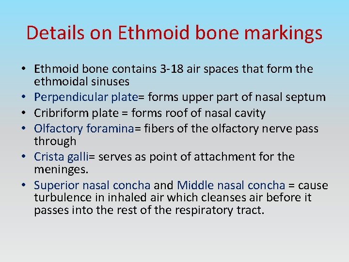 Details on Ethmoid bone markings • Ethmoid bone contains 3 -18 air spaces that