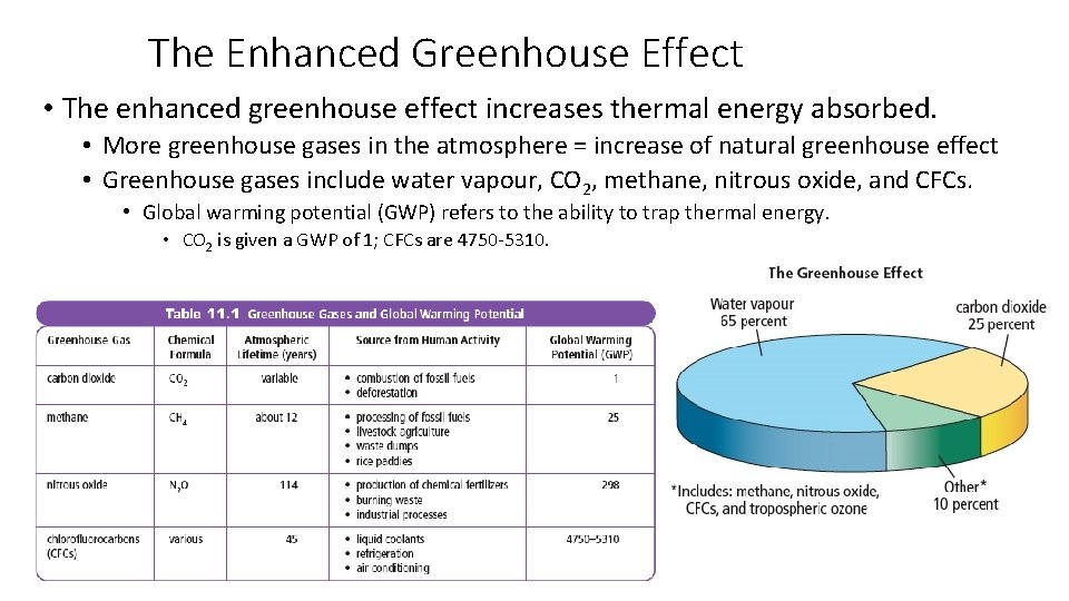 The Enhanced Greenhouse Effect • The enhanced greenhouse effect increases thermal energy absorbed. •