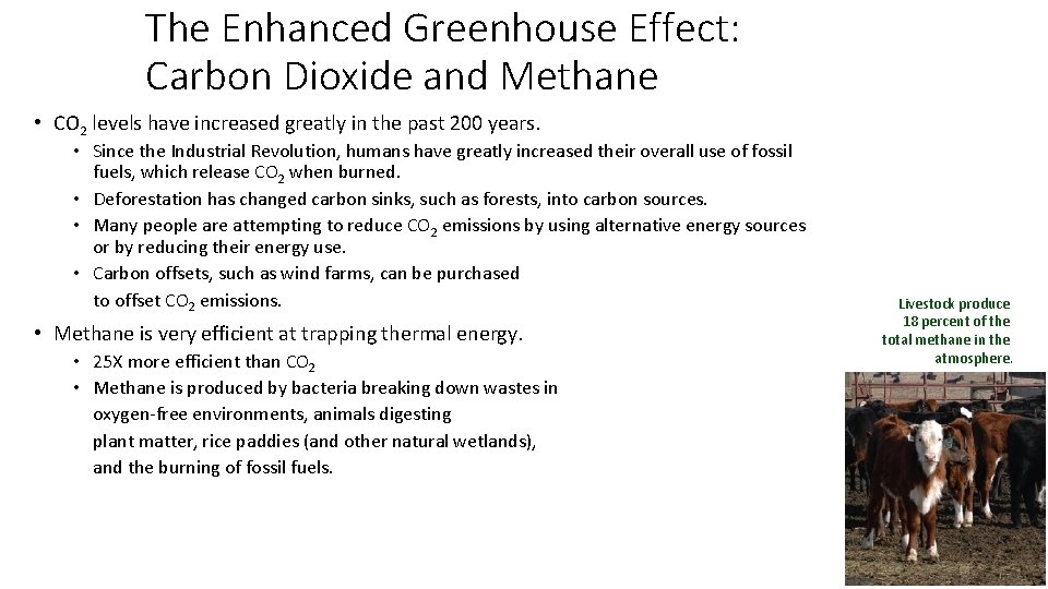 The Enhanced Greenhouse Effect: Carbon Dioxide and Methane • CO 2 levels have increased
