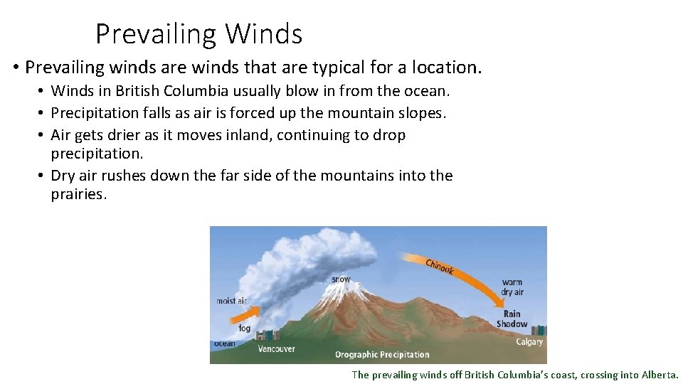 Prevailing Winds • Prevailing winds are winds that are typical for a location. •