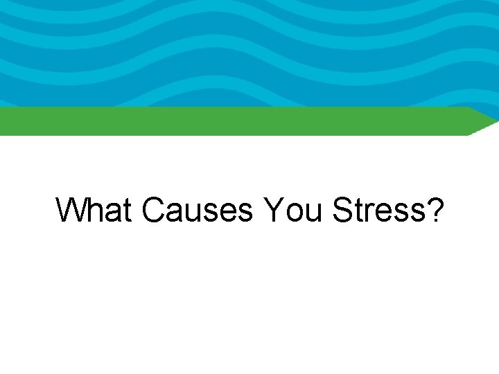 What Causes You Stress? 
