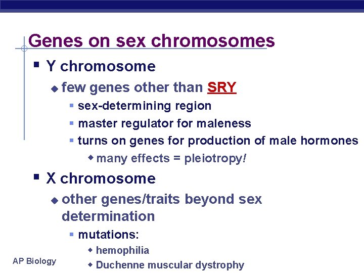 Genes on sex chromosomes § Y chromosome u few genes other than SRY §