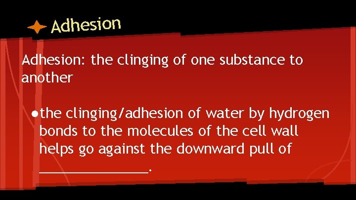Adhesion: the clinging of one substance to another ●the clinging/adhesion of water by hydrogen