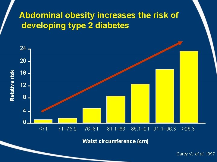 Abdominal obesity increases the risk of developing type 2 diabetes 24 Relative risk 20