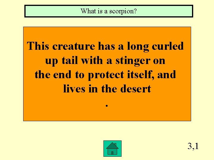 What is a scorpion? This creature has a long curled up tail with a