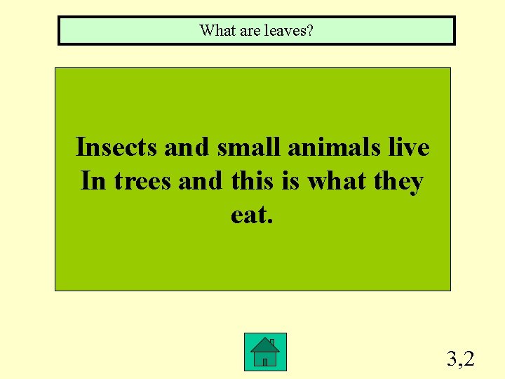 What are leaves? Insects and small animals live In trees and this is what