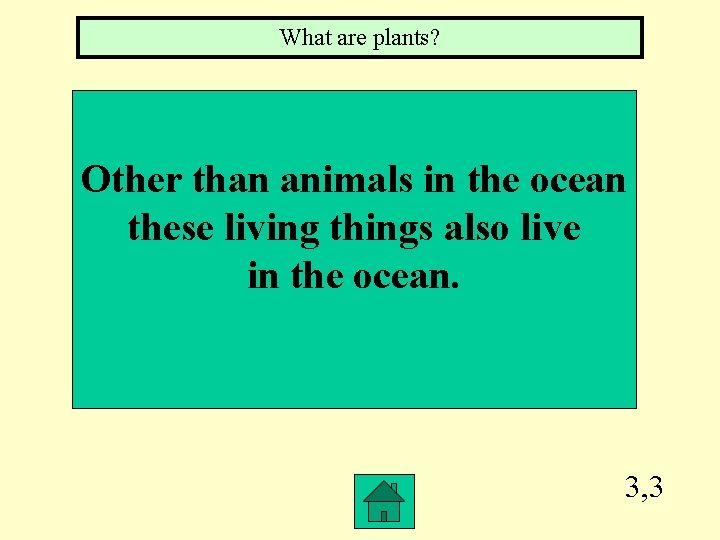 What are plants? Other than animals in the ocean these living things also live