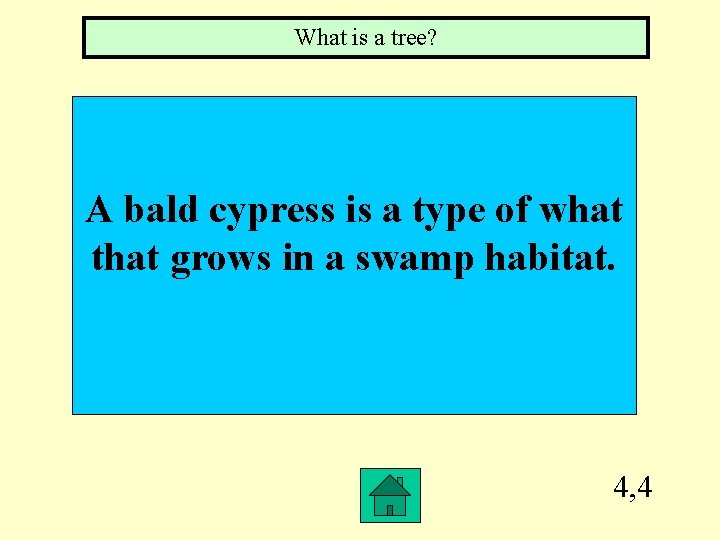 What is a tree? A bald cypress is a type of what that grows