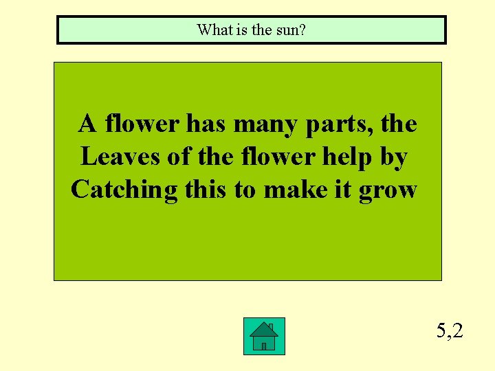 What is the sun? A flower has many parts, the Leaves of the flower