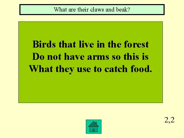 What are their claws and beak? Birds that live in the forest Do not