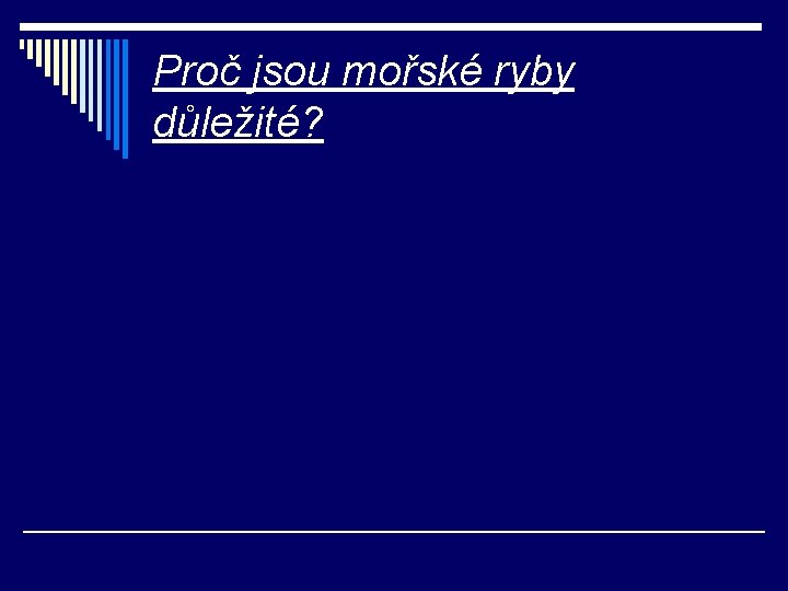 Proč jsou mořské ryby důležité? 