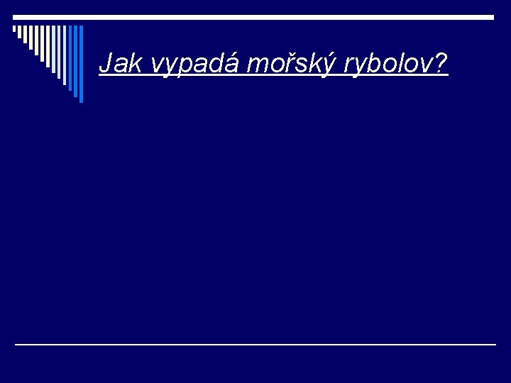 Jak vypadá mořský rybolov? 