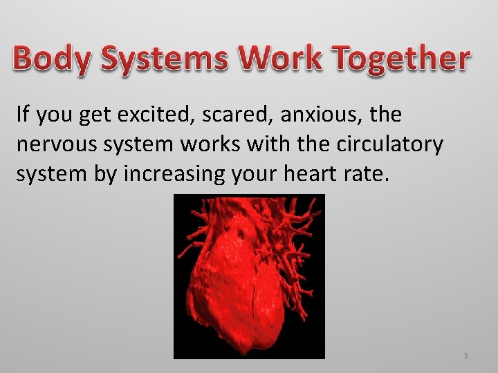 If you get excited, scared, anxious, the nervous system works with the circulatory system