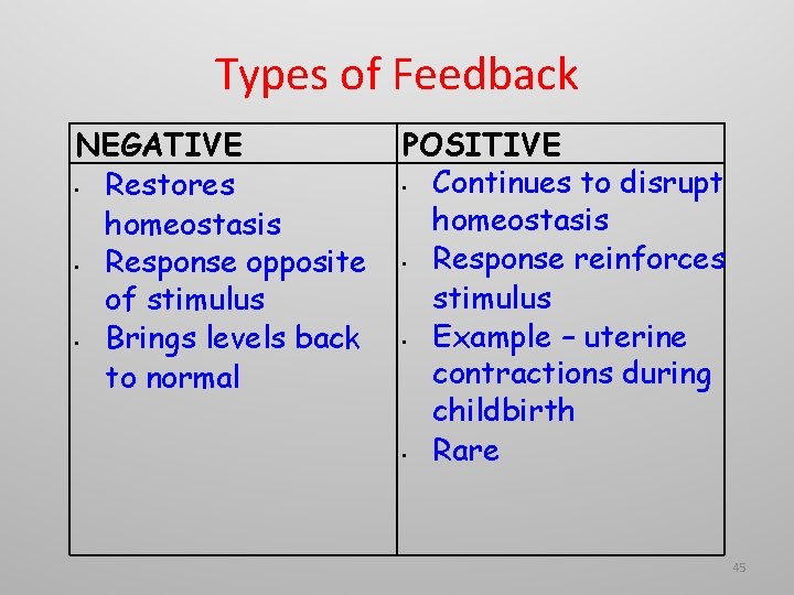 Types of Feedback NEGATIVE • Restores homeostasis • Response opposite of stimulus • Brings