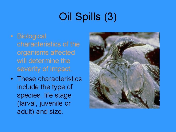 Oil Spills (3) • Biological characteristics of the organisms affected will determine the severity