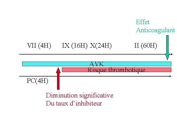 Effet Anticoagulant VII (4 H) IX (16 H) X(24 H) II (60 H) AVK