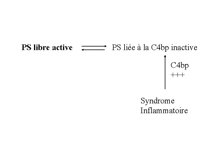 PS libre active PS liée à la C 4 bp inactive C 4 bp