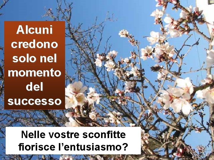 Alcuni credono solo nel momento del successo Nelle vostre sconfitte fiorisce l’entusiasmo? 