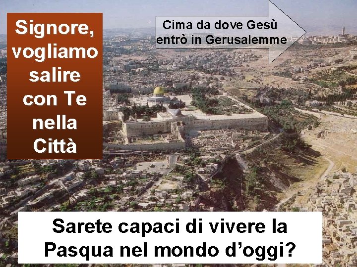 Signore, vogliamo salire con Te nella Città Cima da dove Gesù entrò in Gerusalemme