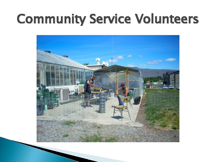 Community Service Volunteers 