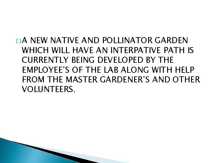 �A NEW NATIVE AND POLLINATOR GARDEN WHICH WILL HAVE AN INTERPATIVE PATH IS CURRENTLY
