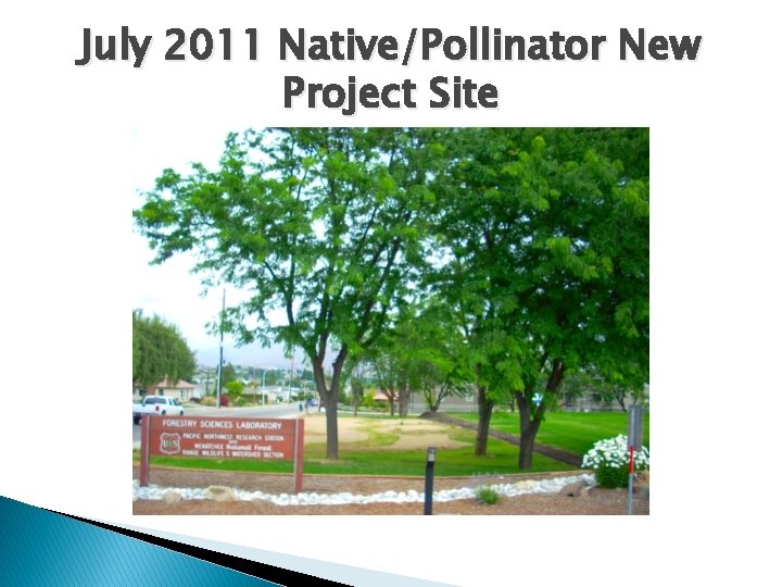 July 2011 Native/Pollinator New Project Site 