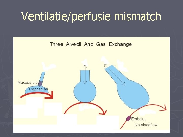 Ventilatie/perfusie mismatch 