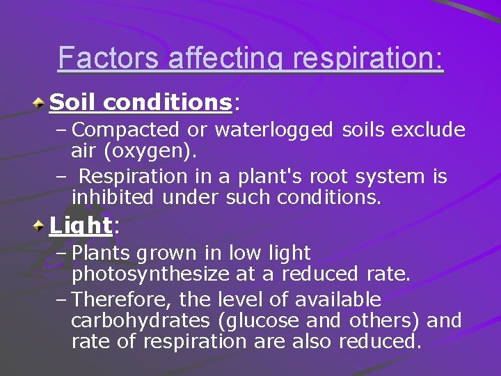 Factors affecting respiration: Soil conditions: – Compacted or waterlogged soils exclude air (oxygen). –