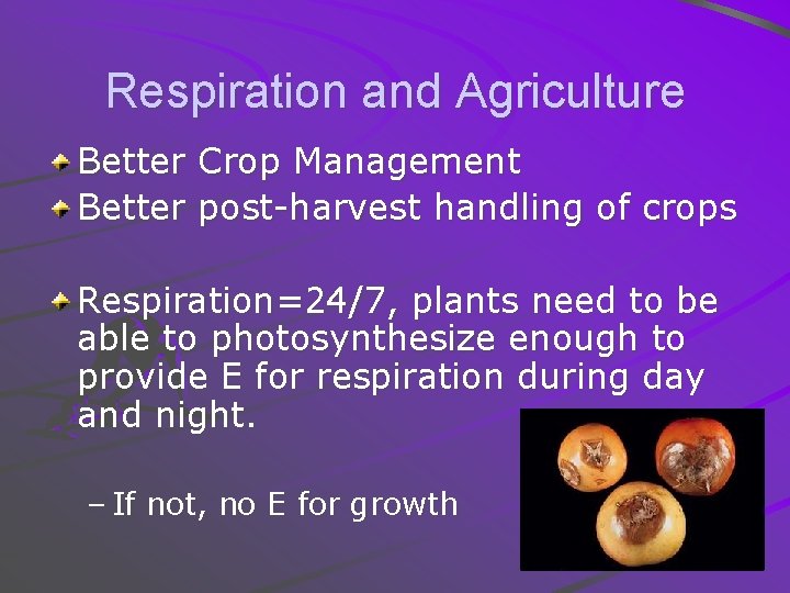 Respiration and Agriculture Better Crop Management Better post-harvest handling of crops Respiration=24/7, plants need