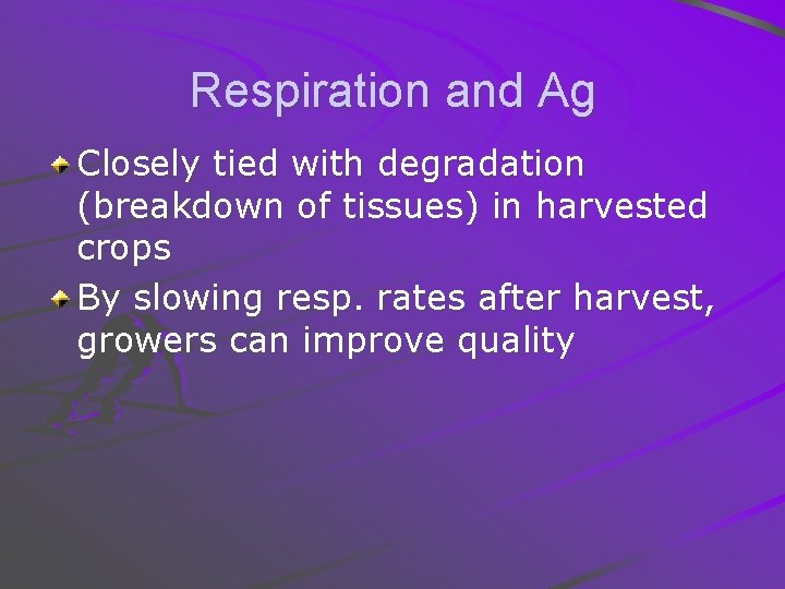 Respiration and Ag Closely tied with degradation (breakdown of tissues) in harvested crops By