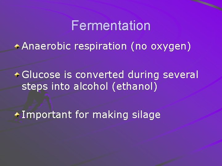 Fermentation Anaerobic respiration (no oxygen) Glucose is converted during several steps into alcohol (ethanol)