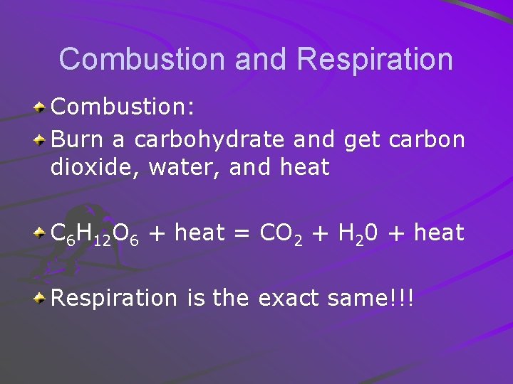 Combustion and Respiration Combustion: Burn a carbohydrate and get carbon dioxide, water, and heat