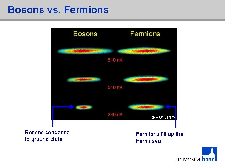 Bosons vs. Fermions Rice University Bosons condense to ground state Fermions fill up the