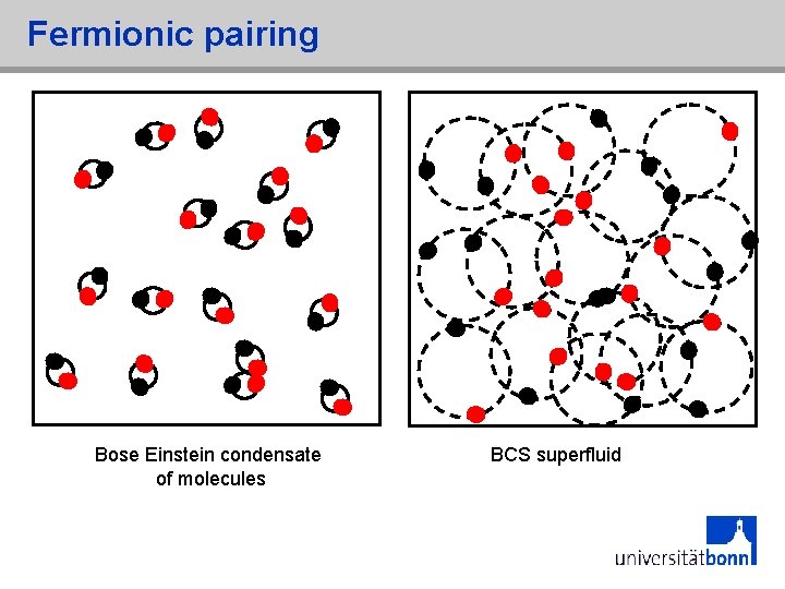 Fermionic pairing Bose Einstein condensate of molecules BCS superfluid 