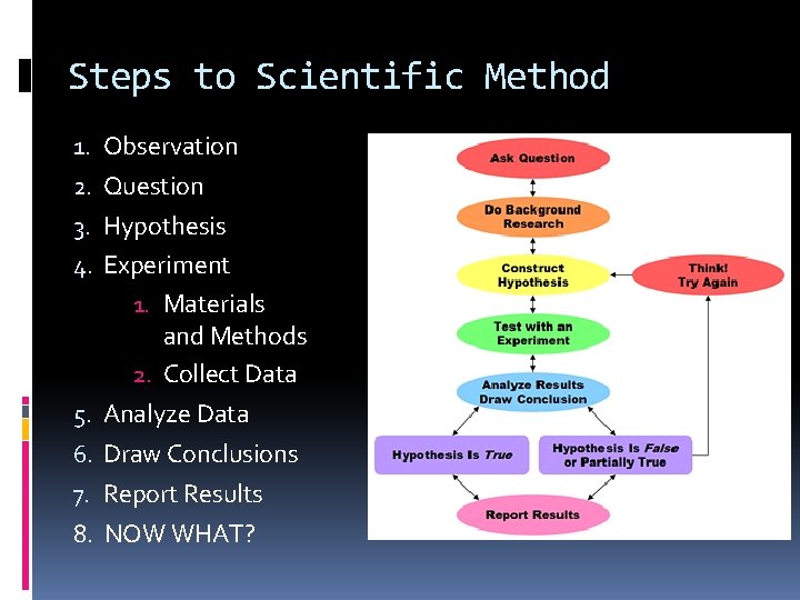 Steps to Scientific Method 1. Observation 2. Question 3. Hypothesis 4. Experiment 1. Materials