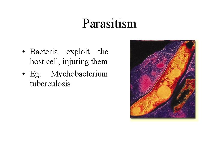 Parasitism • Bacteria exploit the host cell, injuring them • Eg. Mychobacterium tuberculosis 