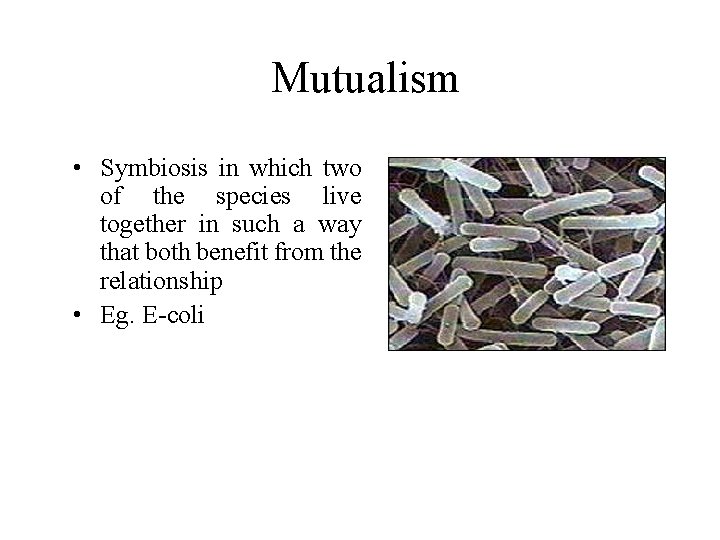Mutualism • Symbiosis in which two of the species live together in such a