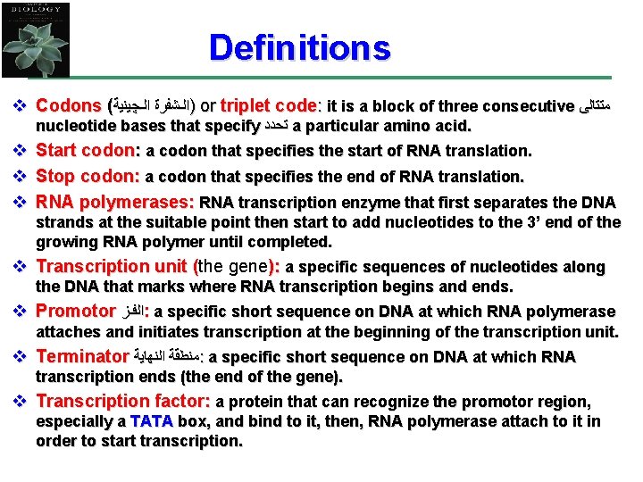 Definitions v Codons ( )ﺍﻟـﺸﻔﺮﺓ ﺍﻟـﭽﻴﻨﻴﺔ or triplet code: it is a block of