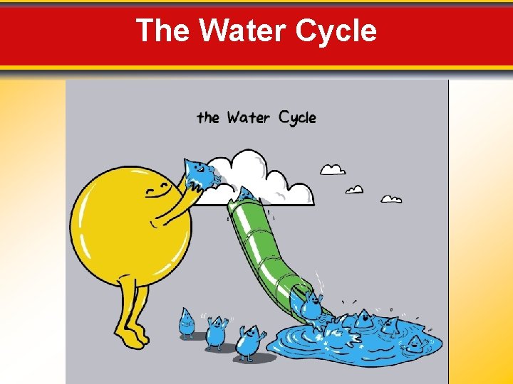 The Water Cycle 