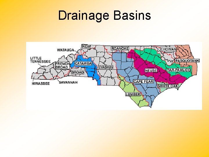 Drainage Basins 