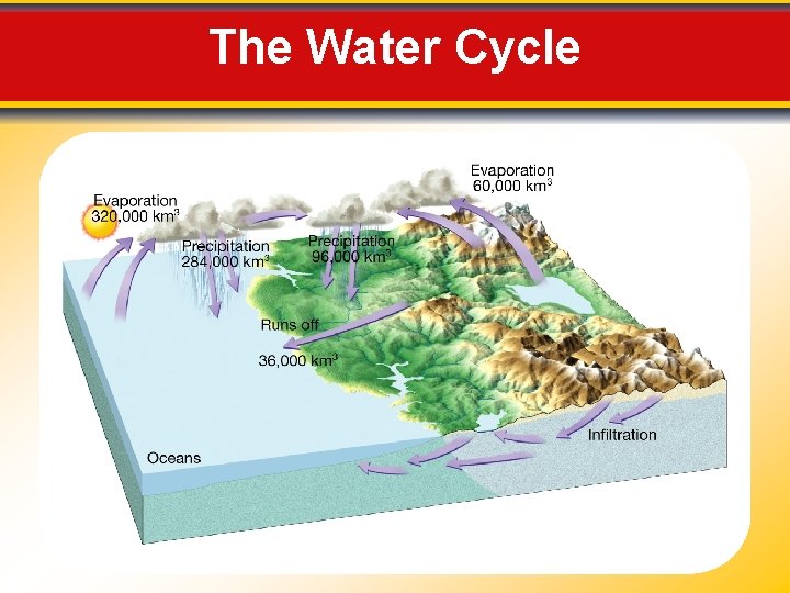 The Water Cycle 
