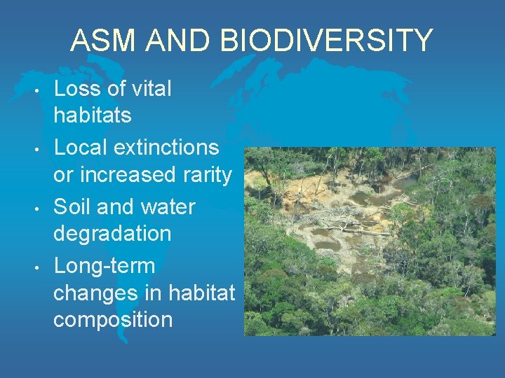 ASM AND BIODIVERSITY • • Loss of vital habitats Local extinctions or increased rarity