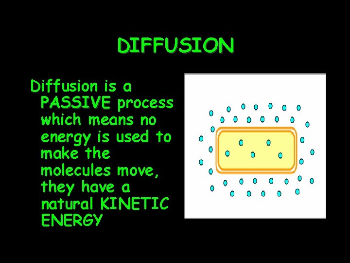 DIFFUSION Diffusion is a PASSIVE process which means no energy is used to make