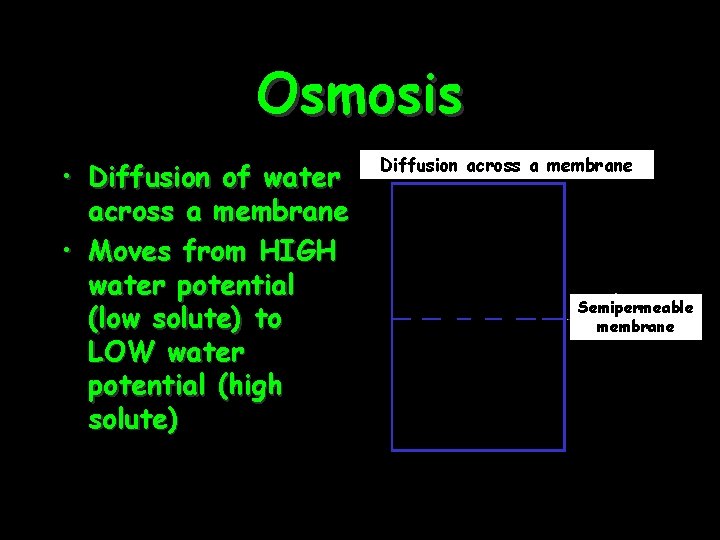 Osmosis • Diffusion of water across a membrane • Moves from HIGH water potential