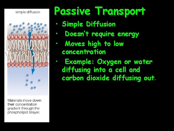 Passive Transport • Simple Diffusion • Doesn’t require energy • Moves high to low