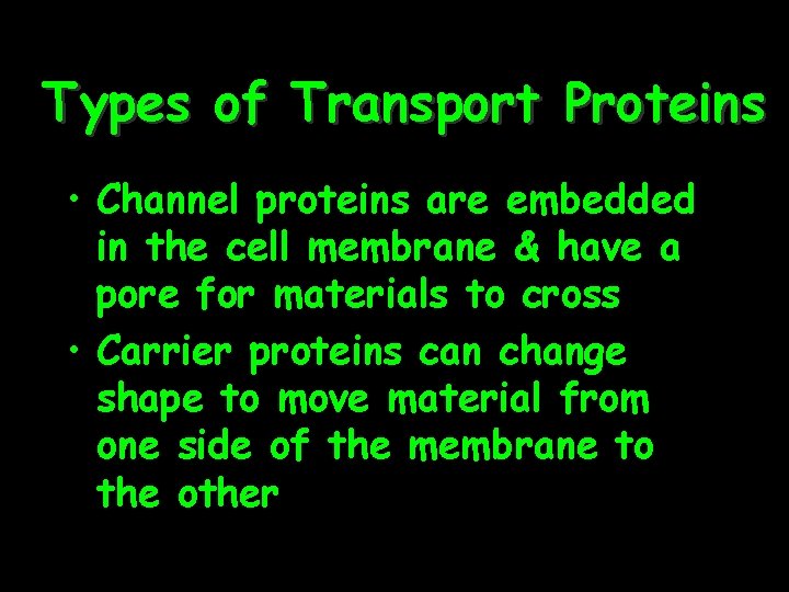 Types of Transport Proteins • Channel proteins are embedded in the cell membrane &
